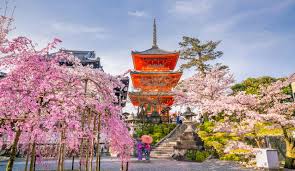 Precautions and Taboos for Traveling to Japan